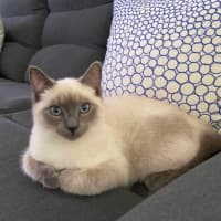 Photo of Teddy