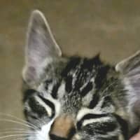 Photo of Olaf