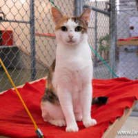 Photo of Hazel Moriarty