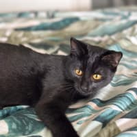 Photo of Stormie 🖤