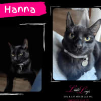 Photo of Hanna