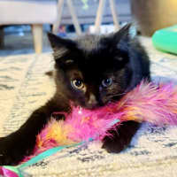 Photo of 💨Alcatraz💨