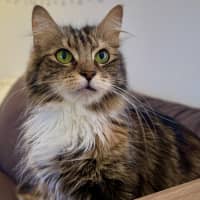 Photo of Zara