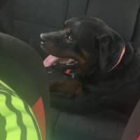 Photo of Chunka