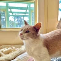 Photo of Percy