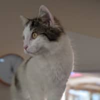 Photo of Jeffrey