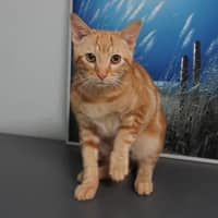 Photo of Archie