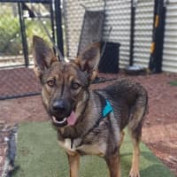 Photo of Spirit (Was Plum)