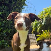 Photo of Marnie
