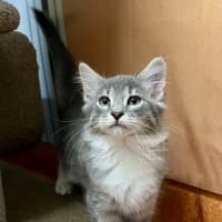 Photo of Storm