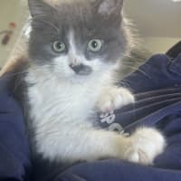 Photo of Marmite