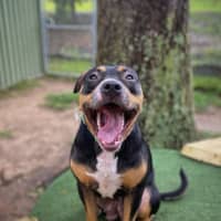 Photo of Marnie