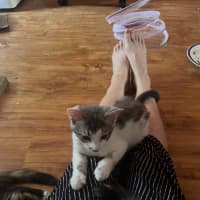Photo of Oliver