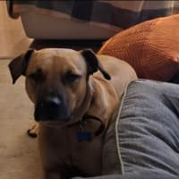 Photo of Turbo 
