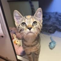 Photo of Tabitha