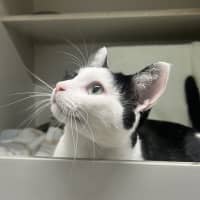 Photo of Truffle