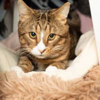 Photo of Buddy