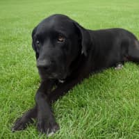 Photo of Malli