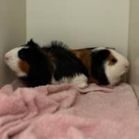 Photo of Butter & Toast