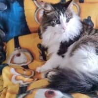 Photo of Zuzu