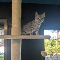 Photo of Timothy 
