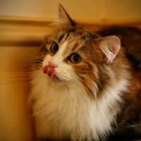 Photo of Mystic 
