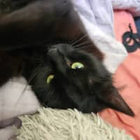 Photo of Rainbow Dash