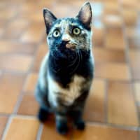 Photo of Dara   In Foster Care In Brunswick