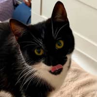 Photo of Pawla