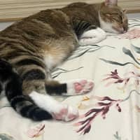 Photo of Princess Lilibet