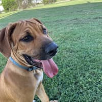 Photo of Tex
