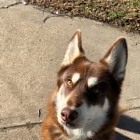 Photo of Halo