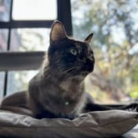 Photo of Paige   Located In Lower Plenty