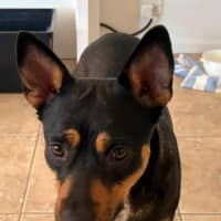 Photo of Winnie