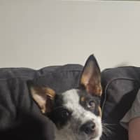 Photo of Brian