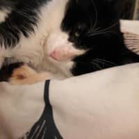 Photo of Dudley Kumara