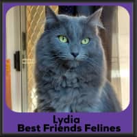 Photo of Lydia 