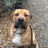 Photo of Clifford