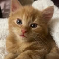 Photo of Artie