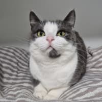 Photo of Maggie