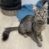 Photo of Tammy   In Foster Care In Noble Park