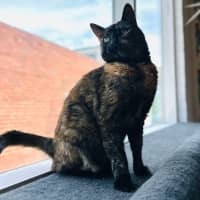 Photo of Kitlyn   Located In Preston