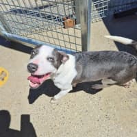 Photo of Zippy! 🪀