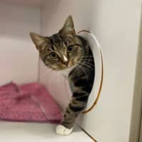 Photo of Suzi