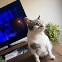 Photo of Betty