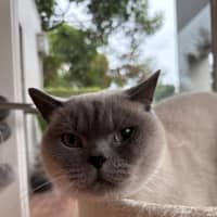 Photo of Ollie & Kobe