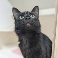 Photo of 🍓 Miriam 5923 🍓