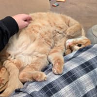 Photo of Jasper