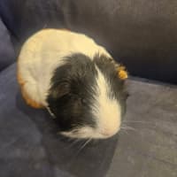 Photo of Mickey