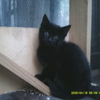 Photo of Char Barclay